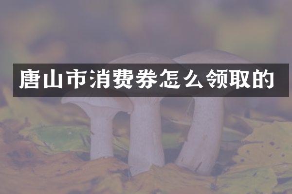 唐山市消费券怎么领取的
