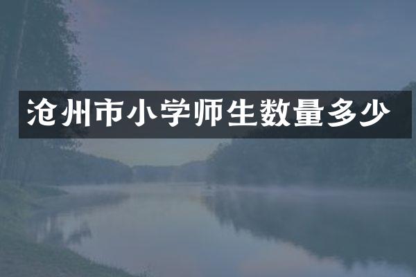 沧州市小学师生数量多少