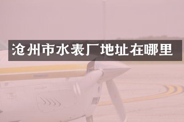 沧州市水表厂地址在哪里