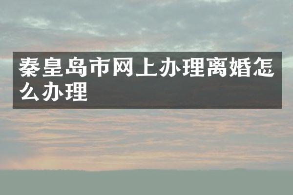 秦皇岛市网上办理离婚怎么办理