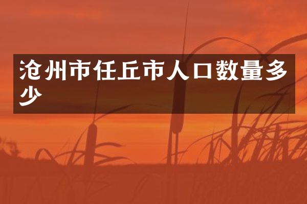 沧州市任丘市人口数量多少
