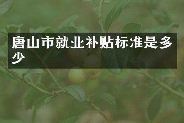 唐山市就业补贴标准是多少