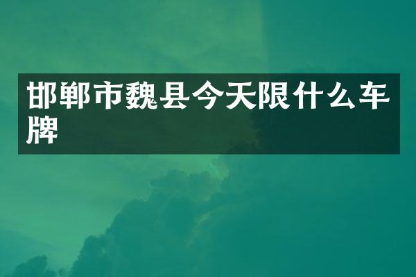 邯郸市魏县今天限什么车牌