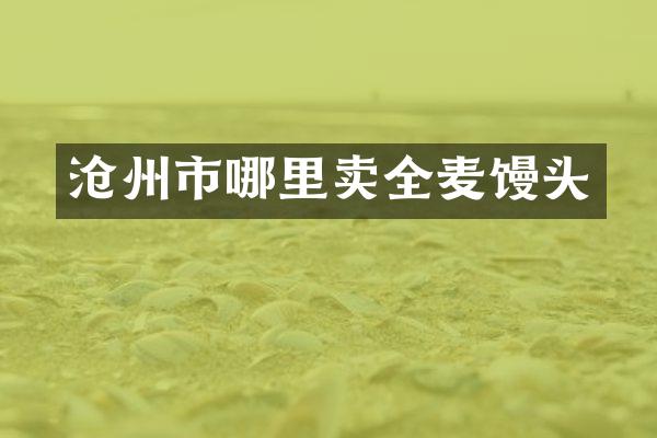 沧州市哪里卖全麦馒头