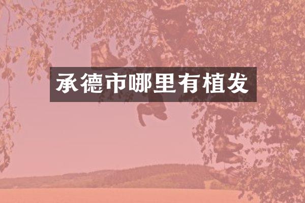 承德市哪里有植发