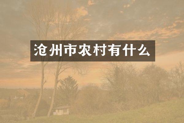 沧州市农村有什么