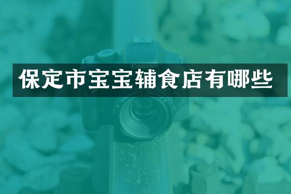 保定市宝宝辅食店有哪些