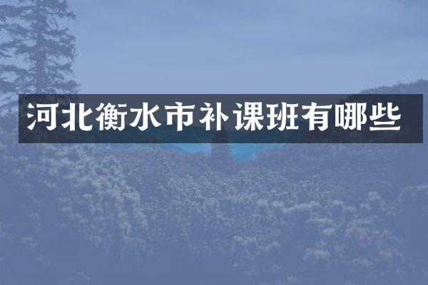 河北衡水市补课班有哪些