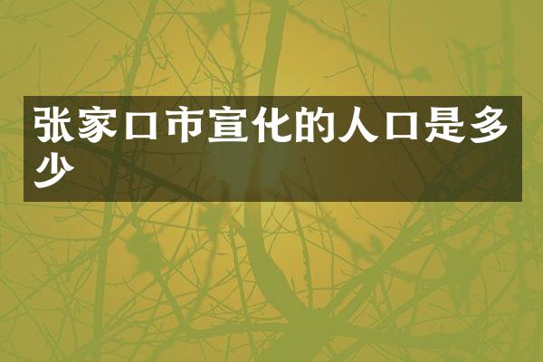 张家口市宣化的人口是多少