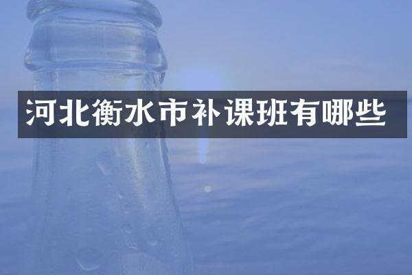 河北衡水市补课班有哪些