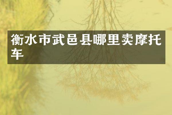 衡水市武邑县哪里卖摩托车