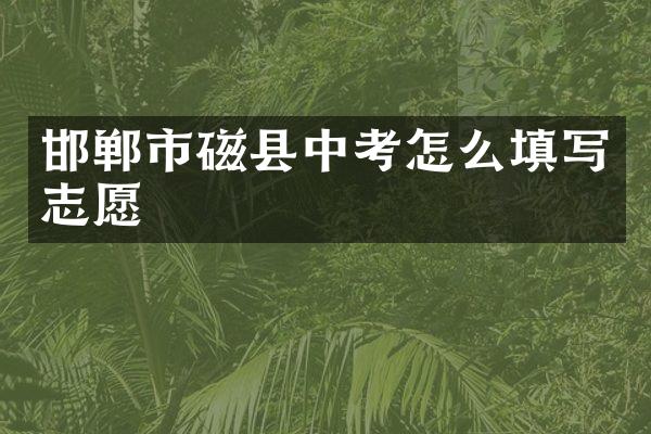邯郸市磁县中考怎么填写志愿