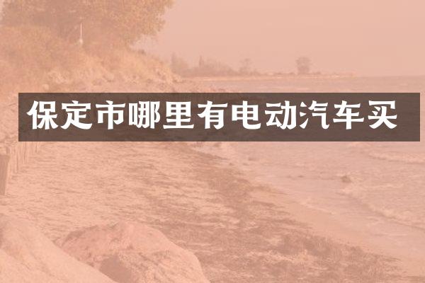 保定市哪里有电动汽车买