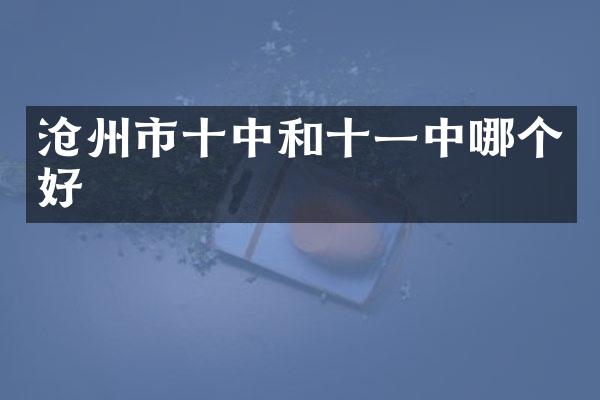 沧州市十中和十一中哪个好