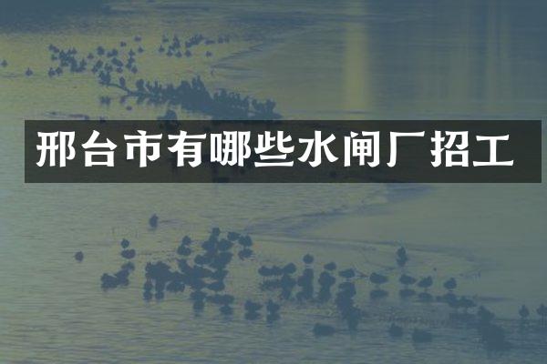 邢台市有哪些水闸厂招工