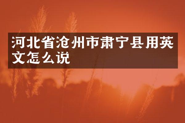 河北省沧州市肃宁县用英文怎么说