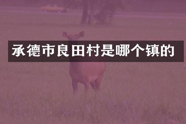 承德市良田村是哪个镇的