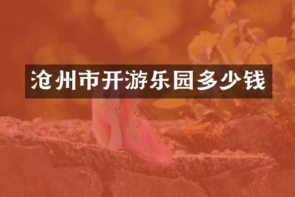 沧州市开游乐园多少钱