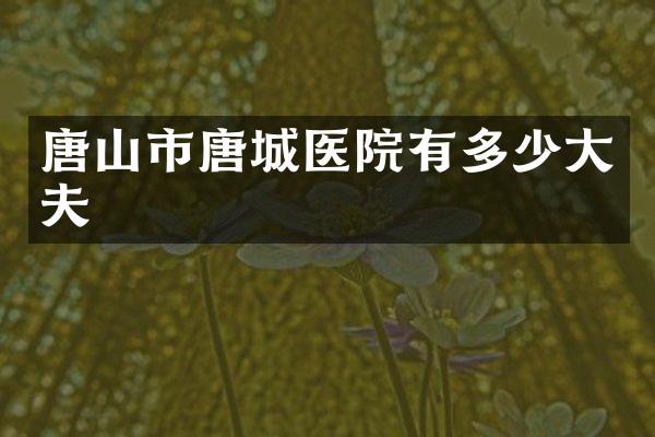 唐山市唐城医院有多少大夫