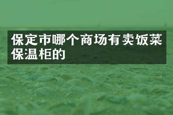 保定市哪个商场有卖饭菜保温柜的
