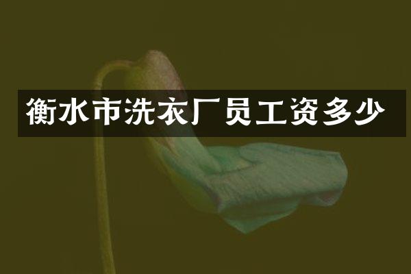 衡水市洗衣厂员工资多少