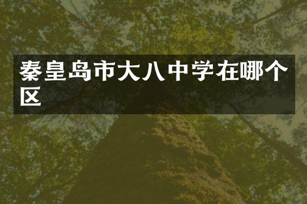 秦皇岛市大八中学在哪个区