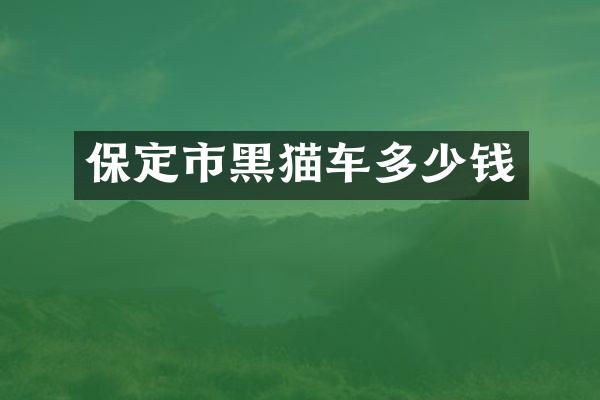 保定市黑猫车多少钱