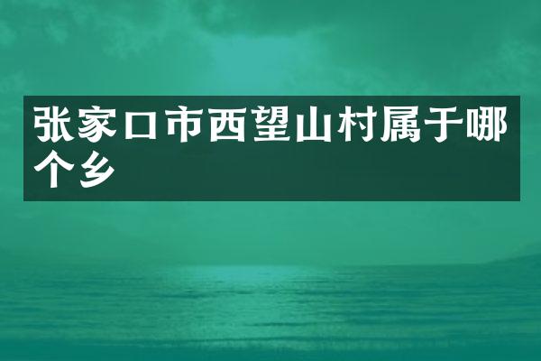 张家口市西望山村属于哪个乡