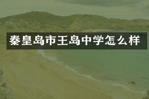 秦皇岛市王岛中学怎么样