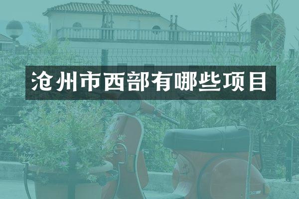沧州市西部有哪些项目