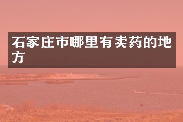 石家庄市哪里有卖药的地方