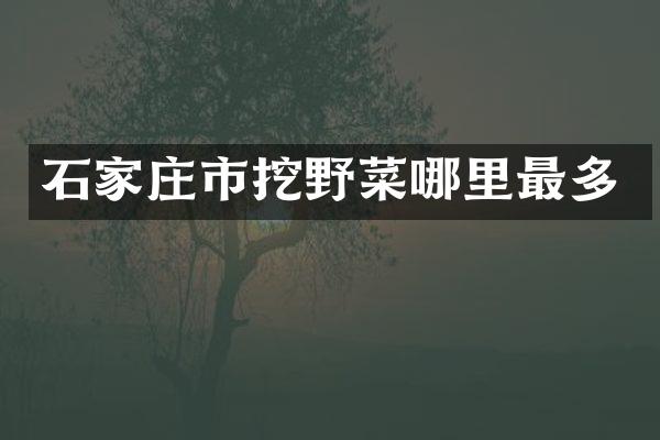 石家庄市挖野菜哪里最多