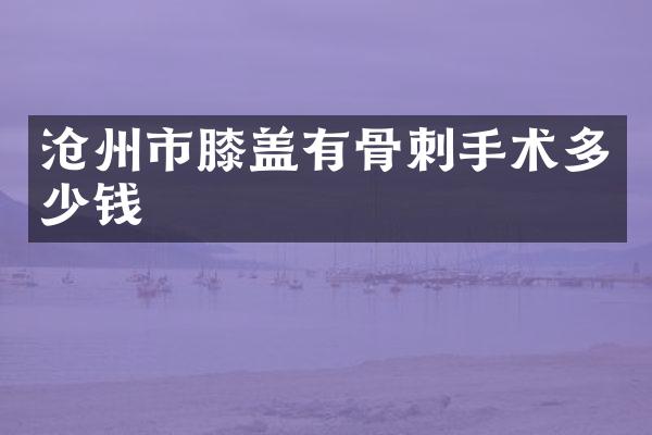 沧州市膝盖有骨刺手术多少钱