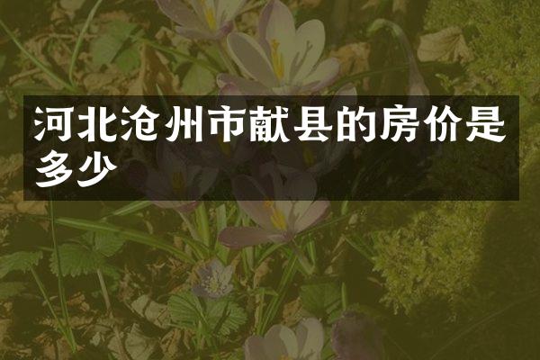 河北沧州市献县的房价是多少