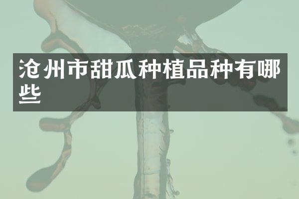 沧州市甜瓜种植品种有哪些