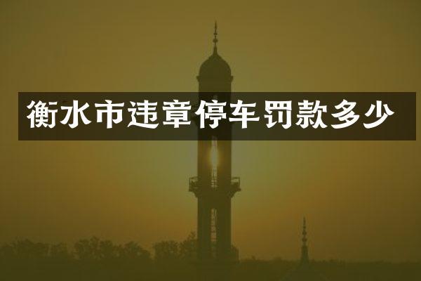 衡水市违章停车罚款多少