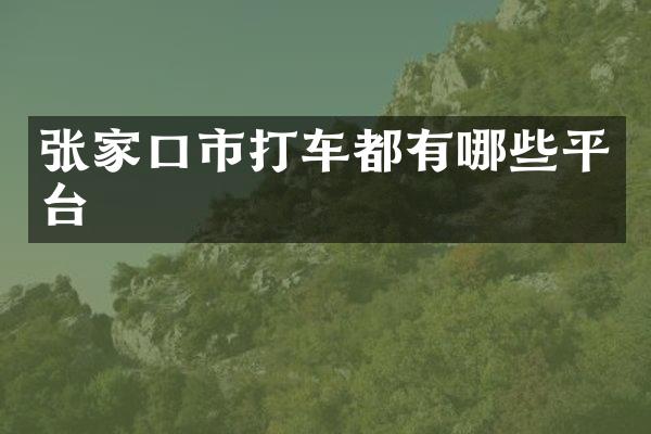 张家口市打车都有哪些平台