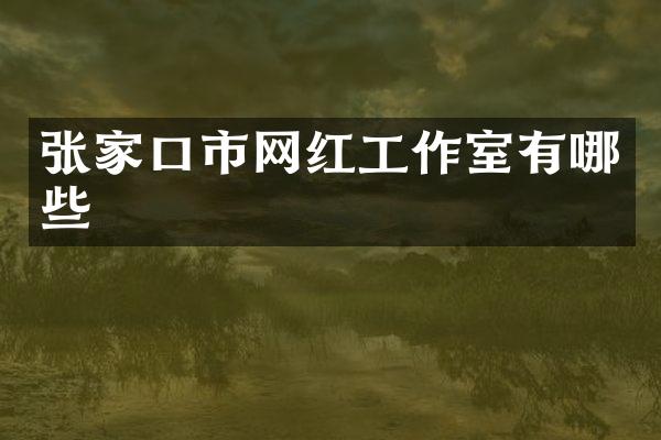 张家口市网红工作室有哪些