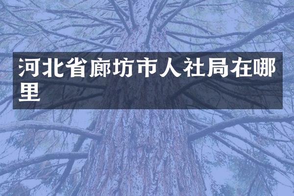 河北省廊坊市人社局在哪里