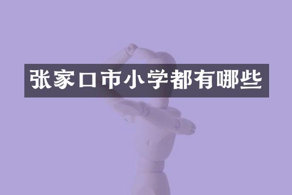 张家口市小学都有哪些