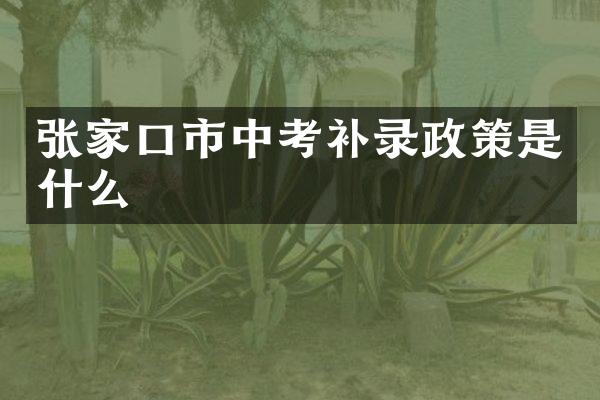 张家口市中考补录政策是什么