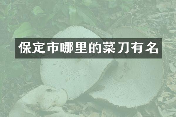 保定市哪里的菜刀有名