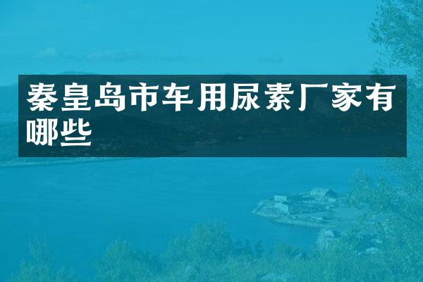 秦皇岛市车用尿素厂家有哪些