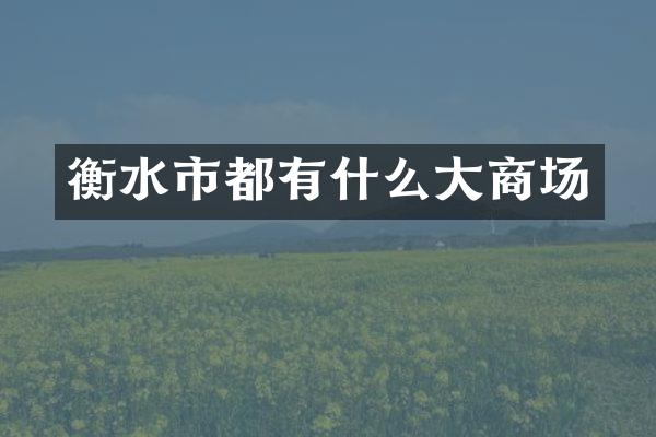 衡水市都有什么大商场