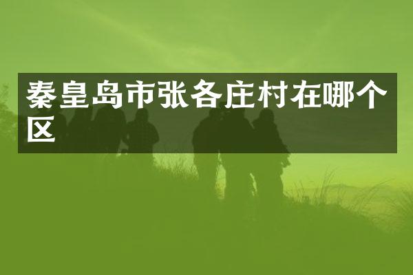 秦皇岛市张各庄村在哪个区
