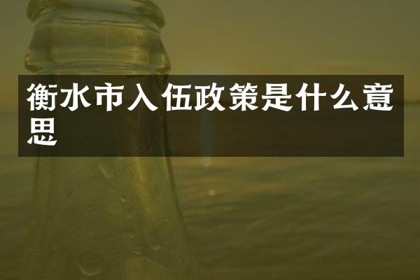 衡水市入伍政策是什么意思