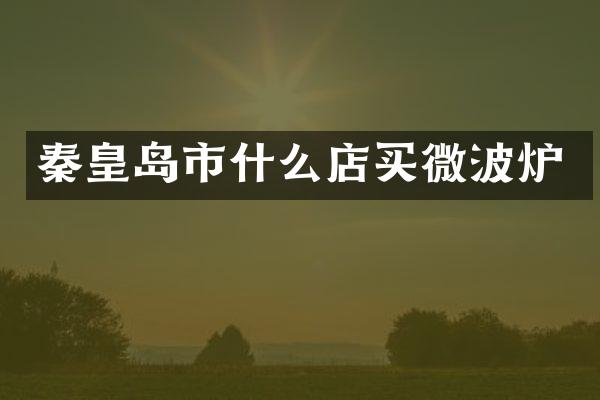 秦皇岛市什么店买微波炉