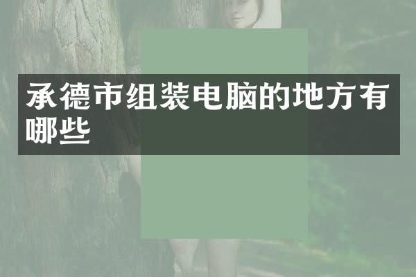 承德市组装电脑的地方有哪些