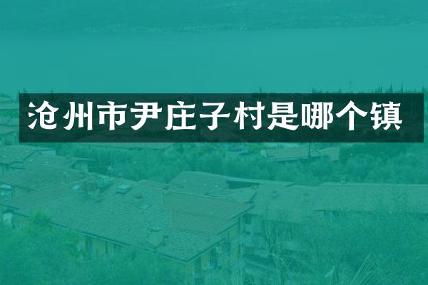 沧州市尹庄子村是哪个镇