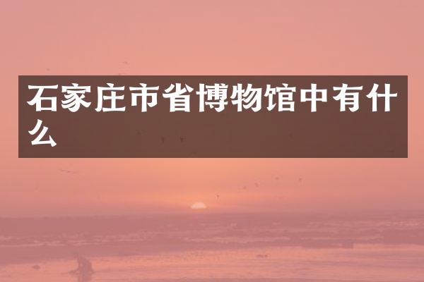 石家庄市省博物馆中有什么